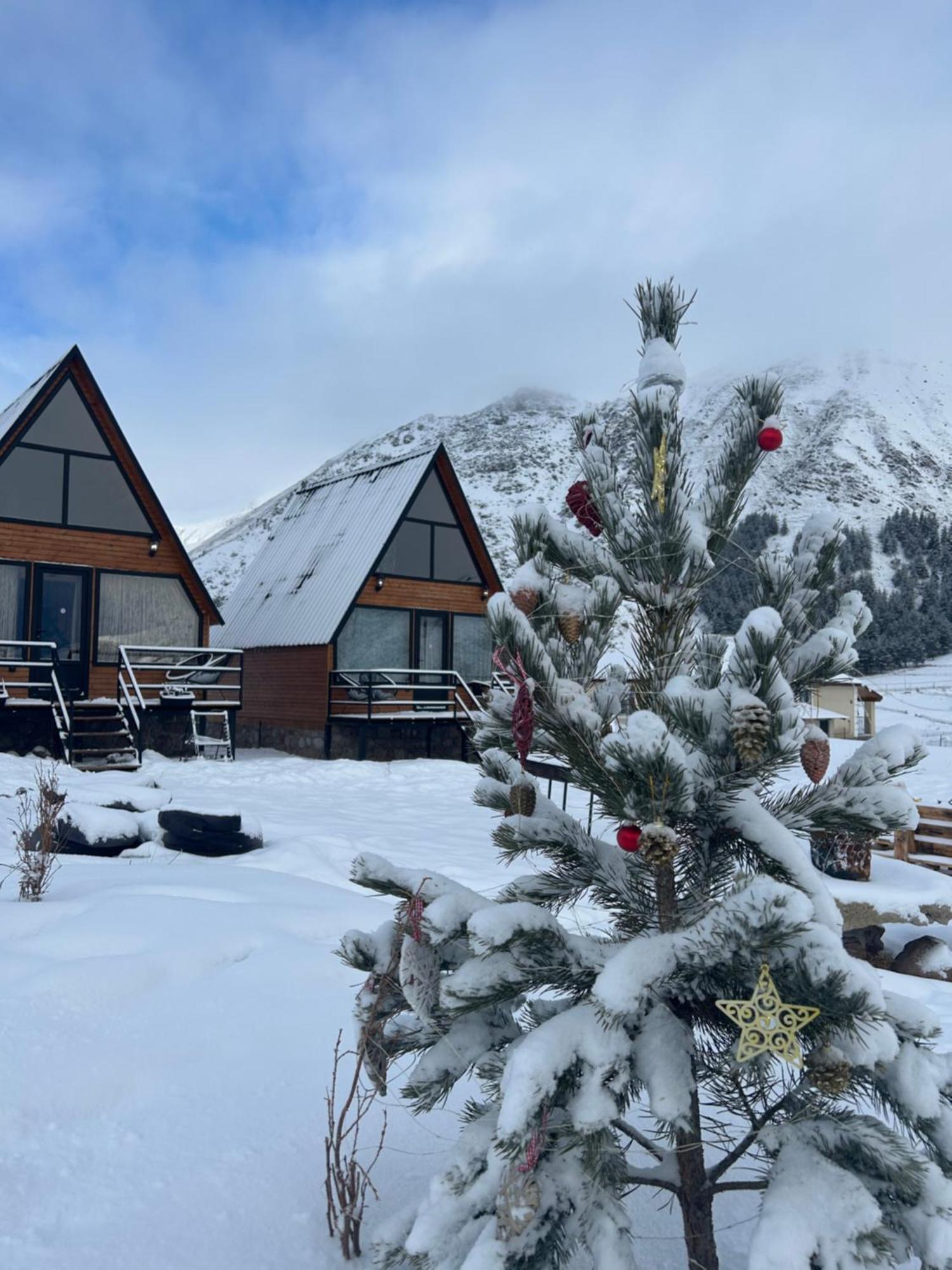 Mtisguli Cottages Kazbegi Exterior foto